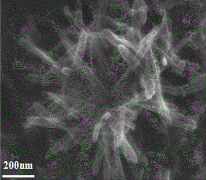 A kind of hierarchical structure graphene cage and preparation method thereof