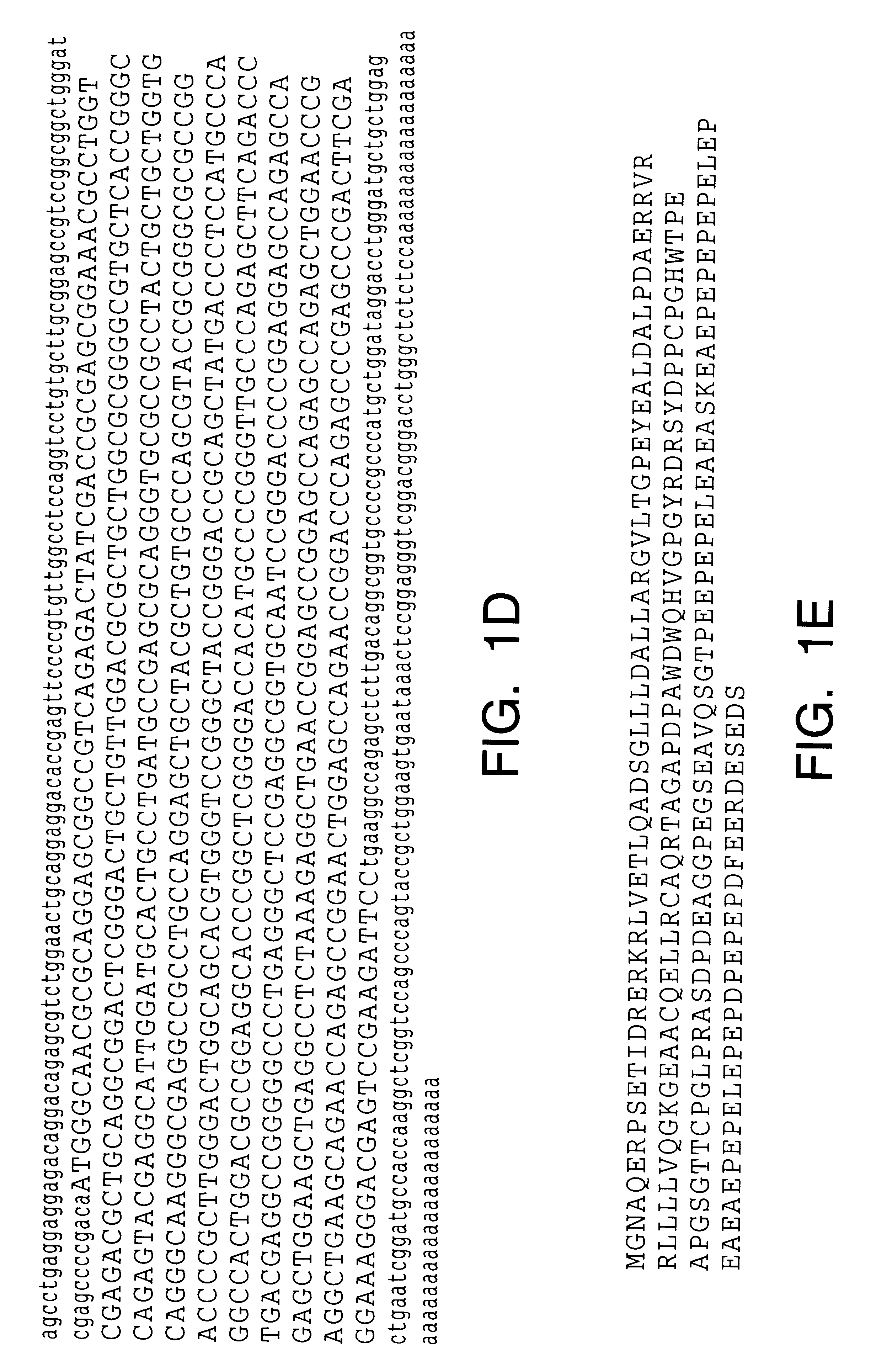 Compositions and methods for identifying apoptosis signaling pathway inhibitors and activators