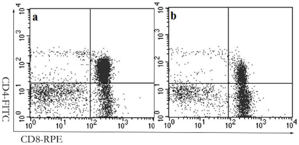Method for Detecting Chicken Thymus T Lymphocyte Subsets by Flow Cytometry