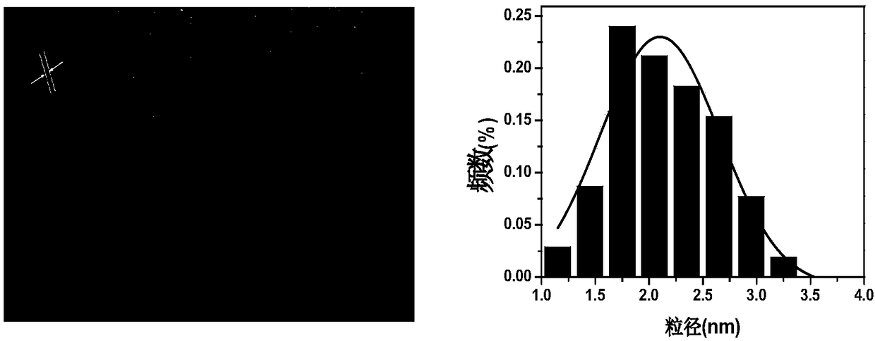 Nitrogen-doped yellow fluorescent carbon quantum dot and preparation method and application thereof