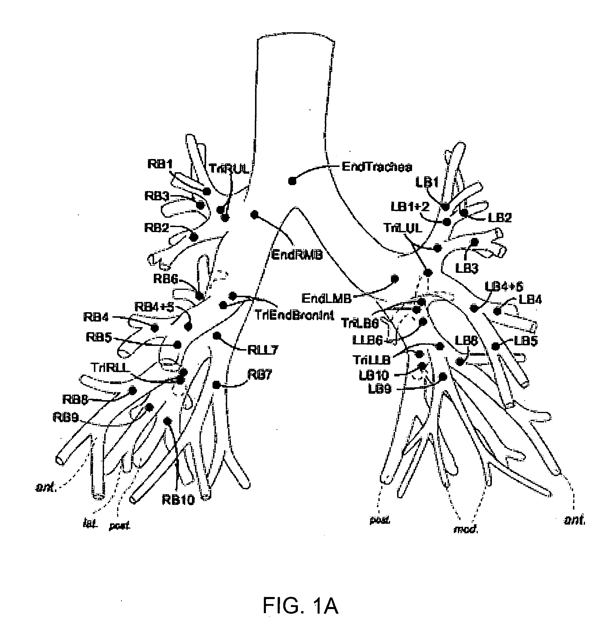 Methods and devices for labeling and/or matching