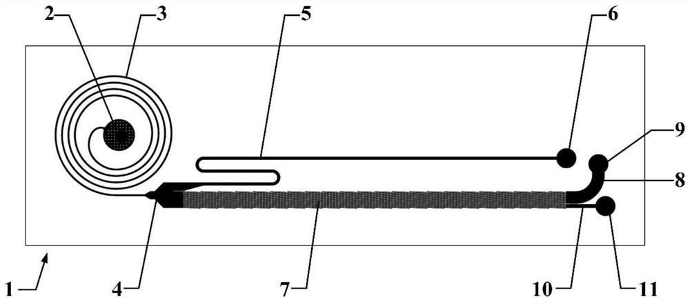 Rare cell multi-stage sorting microfluidic device integrating inertial and deterministic lateral displacement technology