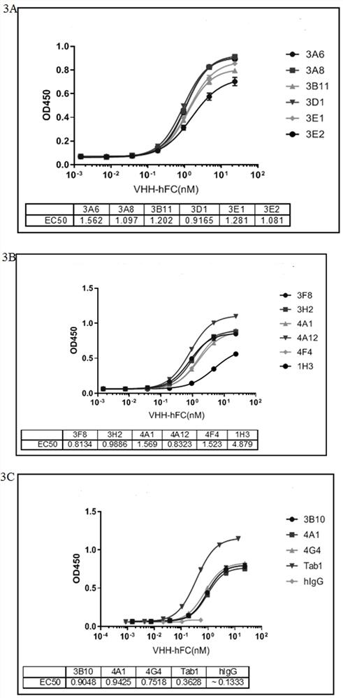 Anti-IL-17A single-domain antibody and application thereof
