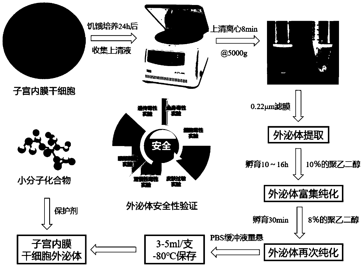 Preparation method and application of stem cell composite exosome