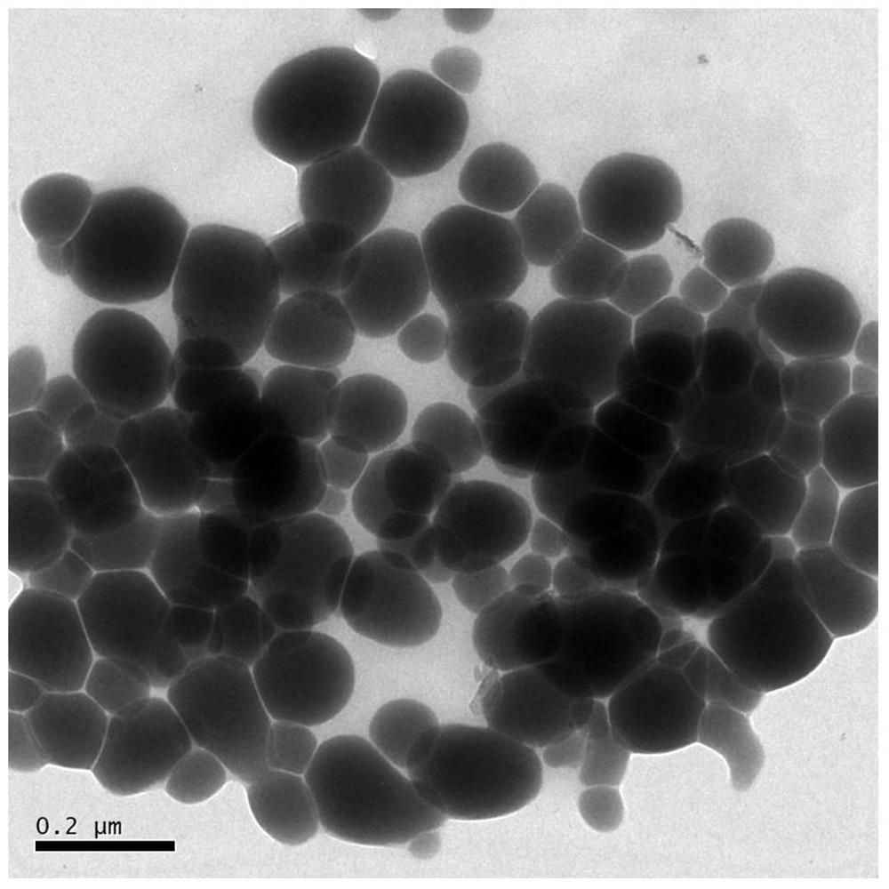 A method for preparing nano-red element selenium by endophytic Helix spirulina of tea tree