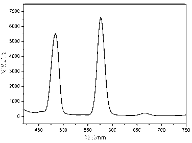 Preparation method of Eu2O3-Dy2O3-codoped zinc-silicon-system microcrystalline glass