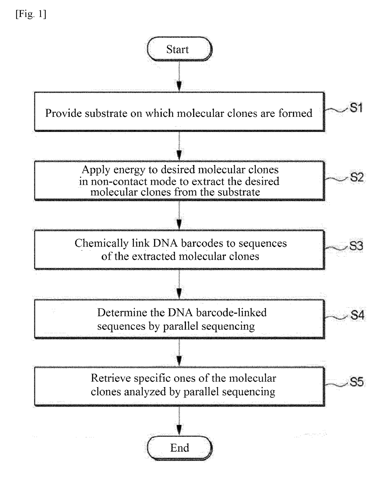 Method for extracting and characterizing molecular clones