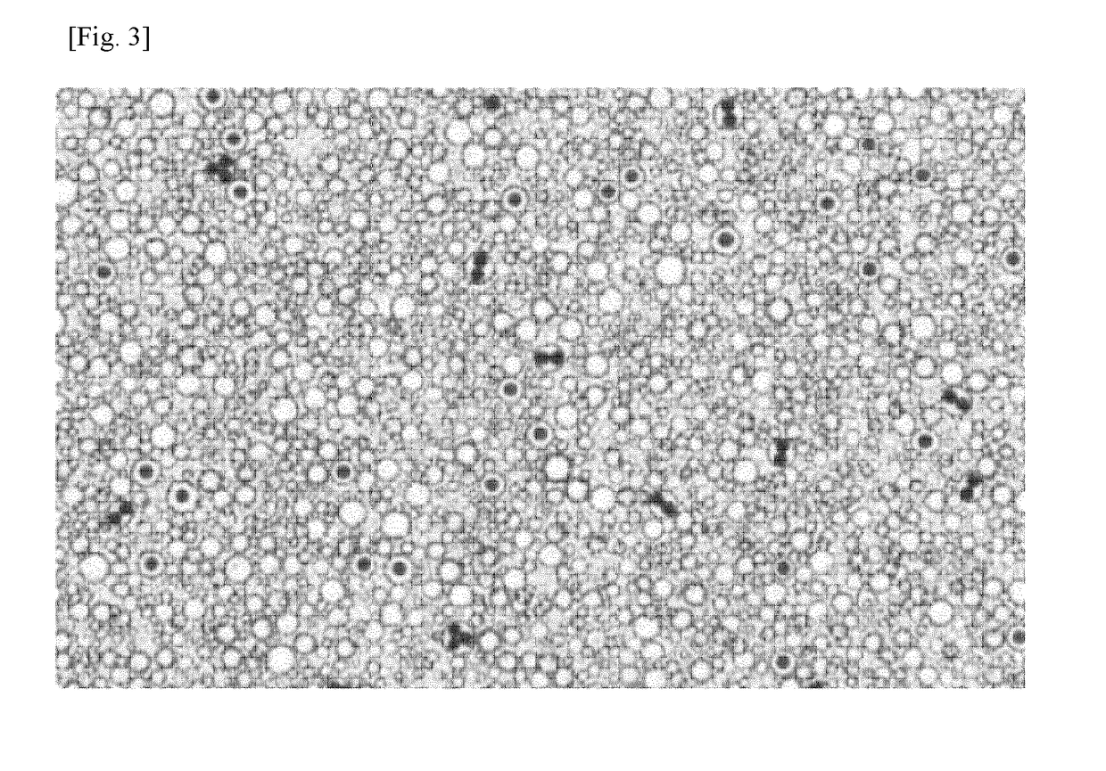 Method for extracting and characterizing molecular clones