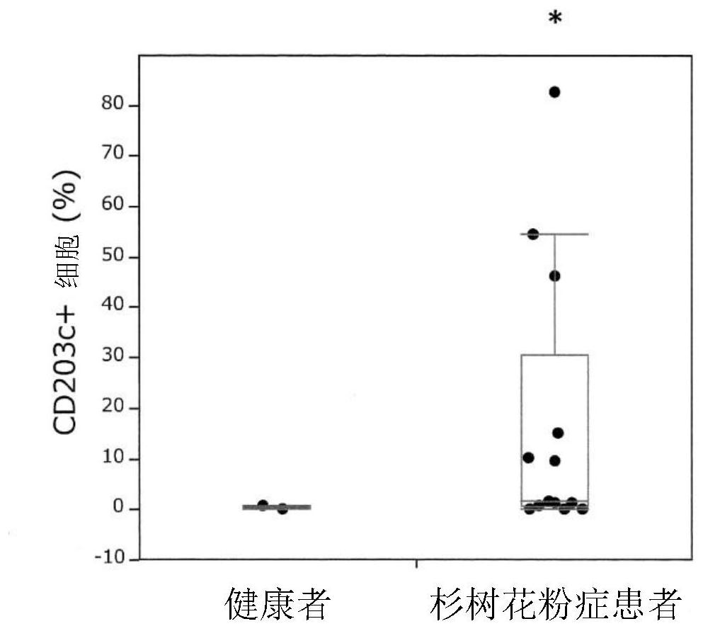 Novel Cedar Pollen Protein