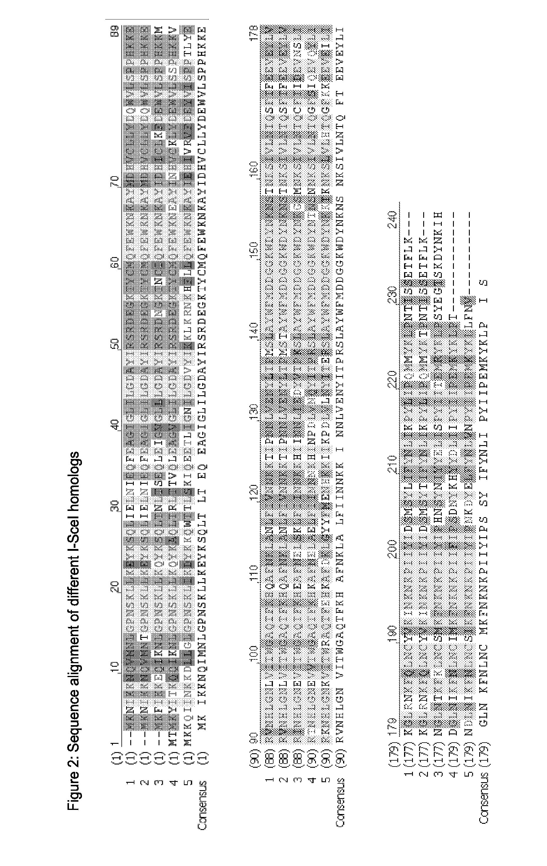 Optimized Endonucleases and Uses Thereof