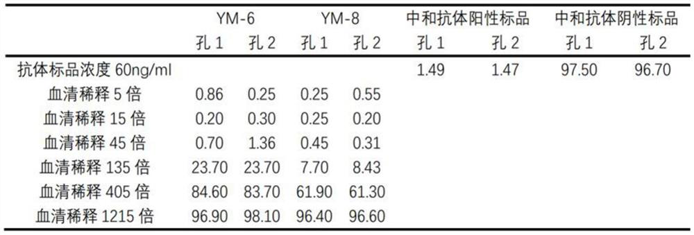 Novel coronavirus neutralizing antibody magnetic bead fluorescence detection kit and detection method