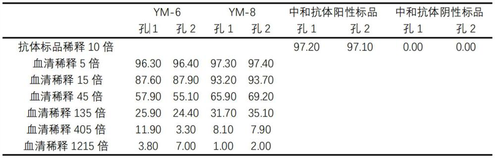 Novel coronavirus neutralizing antibody magnetic bead fluorescence detection kit and detection method