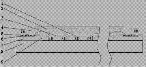 Structure for raising highly reflective material LED light source luminous flux output