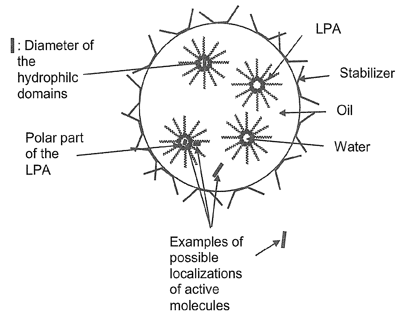 Oil-In-Water Emulsion and Its Use for the Delivery of Functionality