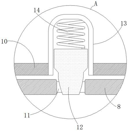 Skin repairing instrument for medical beauty