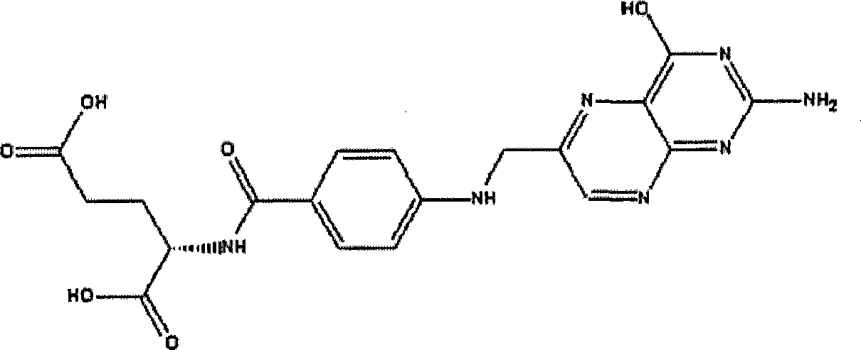 Folic acid freeze-dried injection and preparation thereof