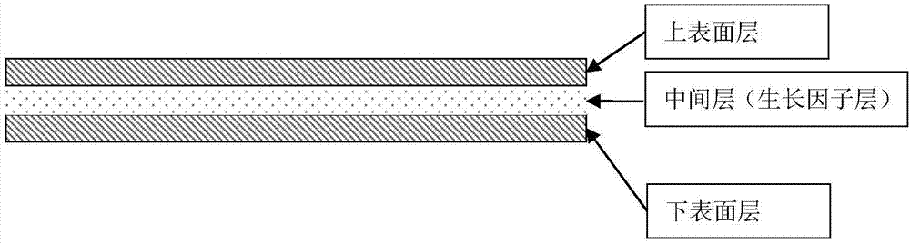 High induced activity repairing material and preparation method and application thereof