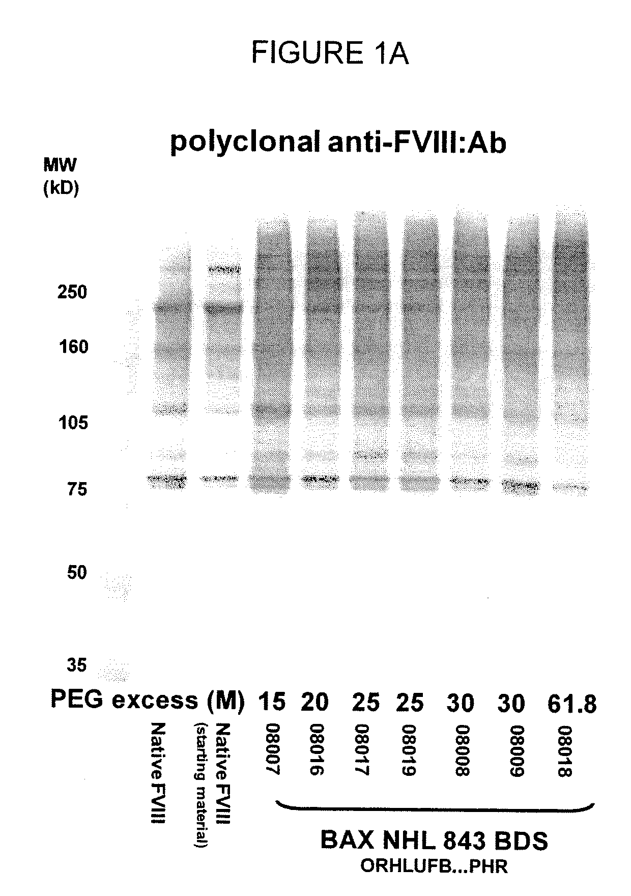 Modified blood factors comprising a low degree of water soluble polymer