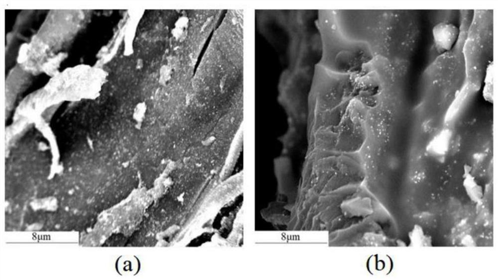 Environment-friendly silver-loaded antibacterial agent based on plant waste powder and preparation method of environment-friendly silver-loaded antibacterial agent