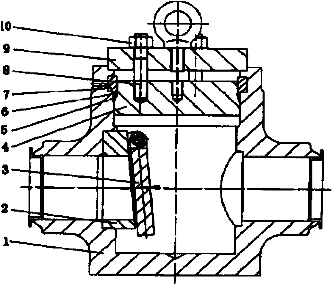 Swing check valve