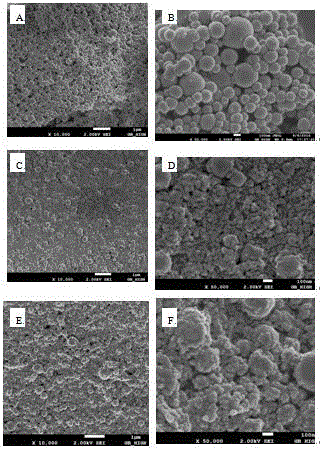 Rutin-zein-sodium caseinate composite nanoparticles and preparation method thereof