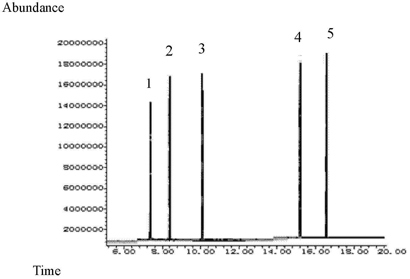 Stirring extraction bar with composite carbon nanofiber coating and preparation method thereof