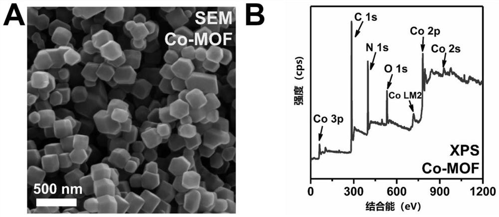 Electrochemical sensor based on Co-MOF and heme-G-DNA concerted catalysis as well as preparation method and application of electrochemical sensor