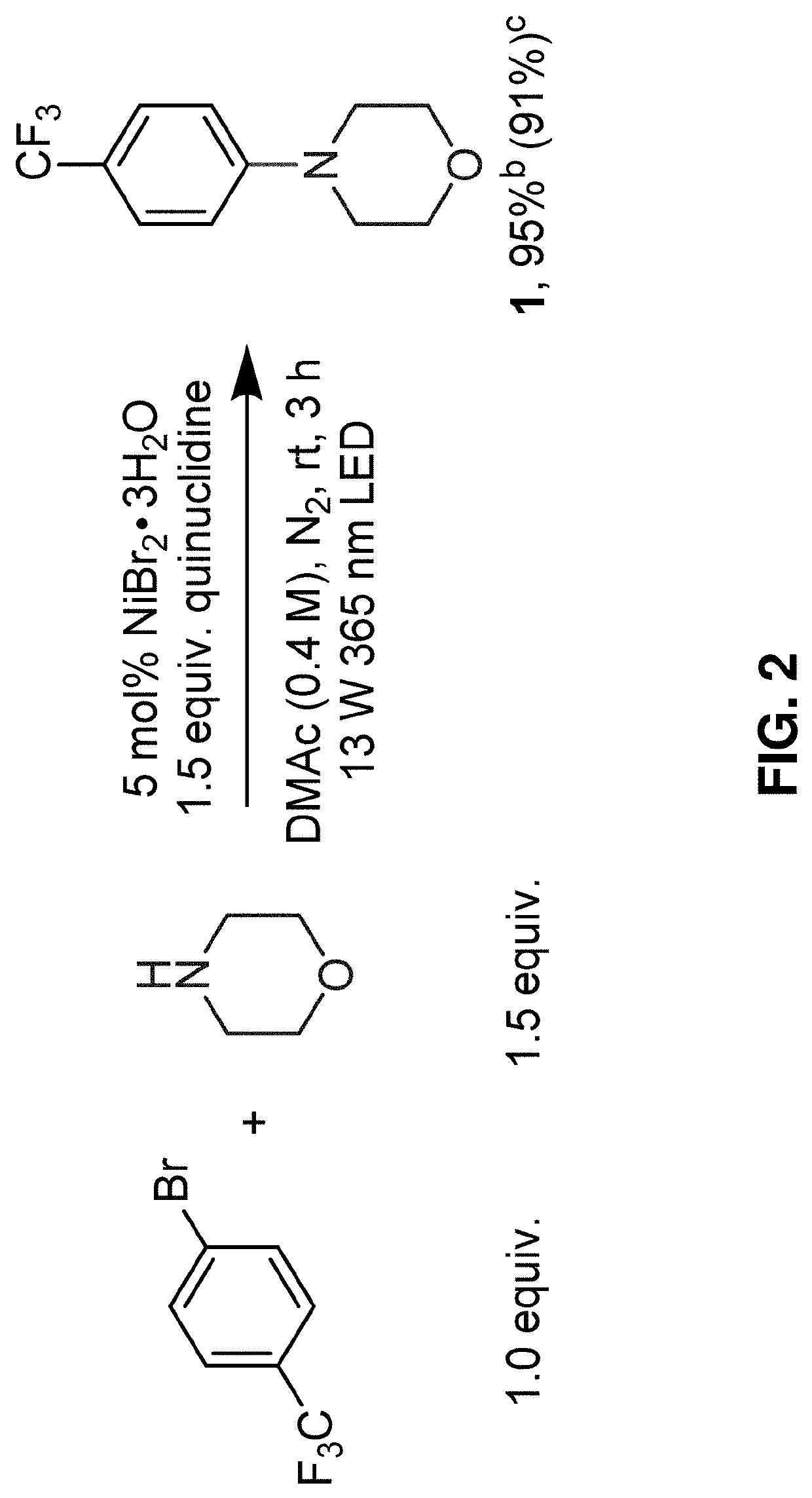 Methods for forming aryl carbon-nitrogen bonds using light and photoreactors useful for conducting such reactions
