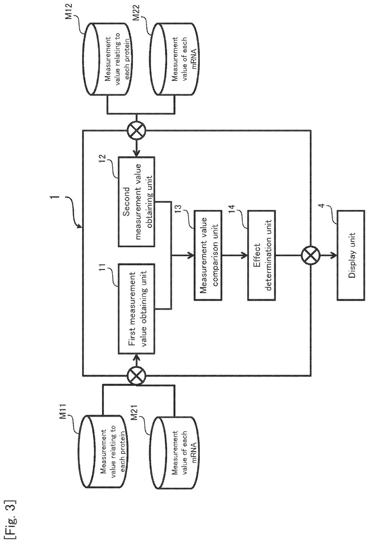 Pharmaceutical composition or food composition, and method for assessing effect of active ingredient in vivo