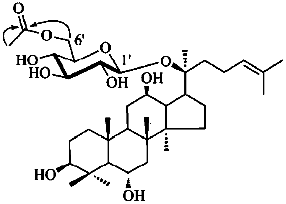 Lactobacillus plantarum proliferation agent and applications thereof