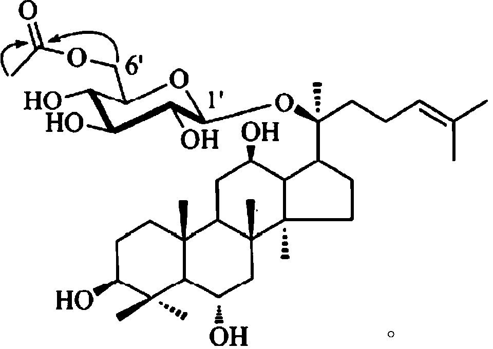 Lactobacillus plantarum proliferation agent and applications thereof