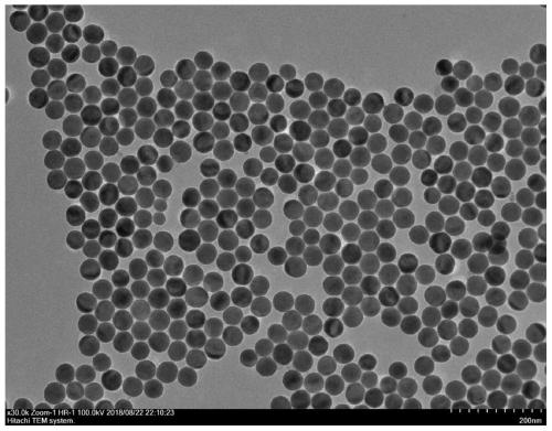 Rare earth doped nanoprobe, preparation and new coronavirus detection probe