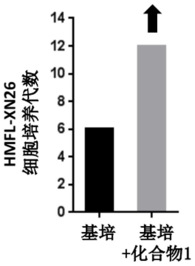 Culture medium and culture method for mammary epithelial stem cells