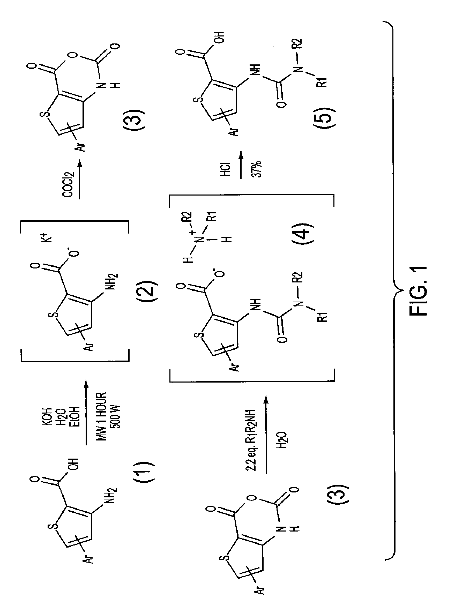 Methods of identifying compounds that inhibit the activation of a biomolecule and methods of treatment using the compounds