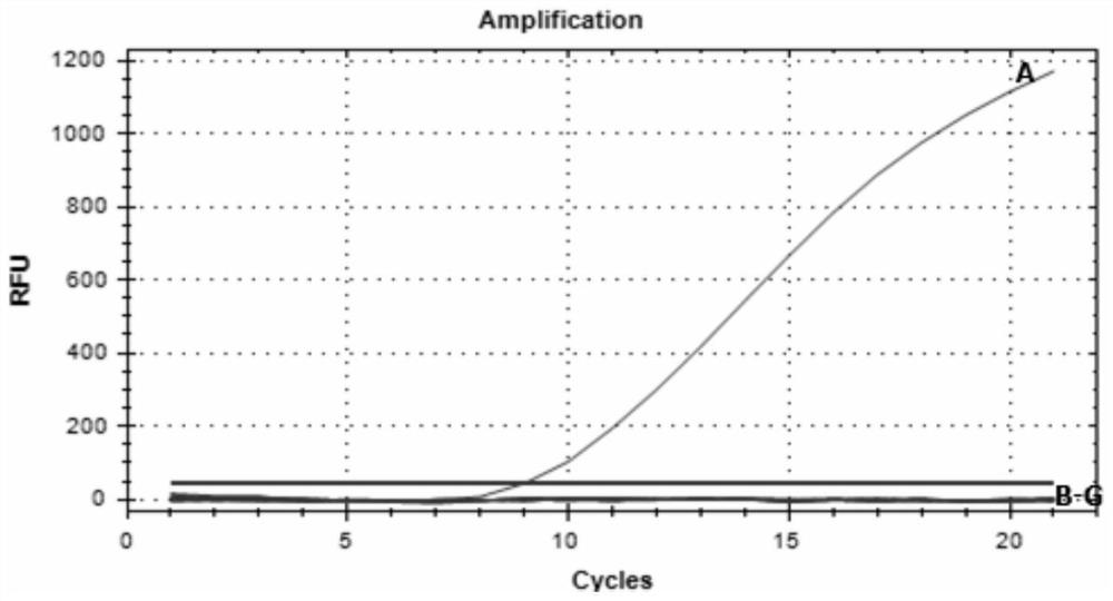 A detection kit for Echinococcus shiqu based on rpa technology and its application