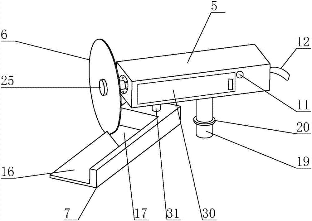 Branch pruning device for cutting plants