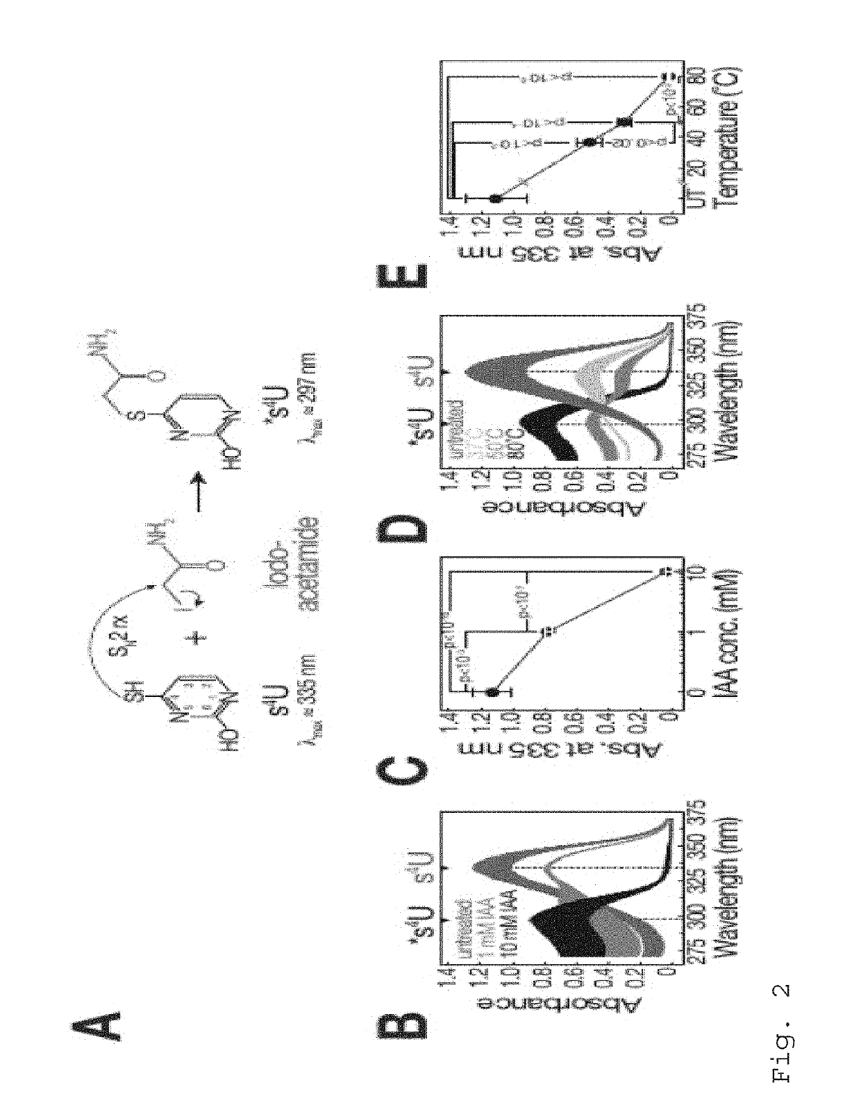 Nucleic acid modification and identification method