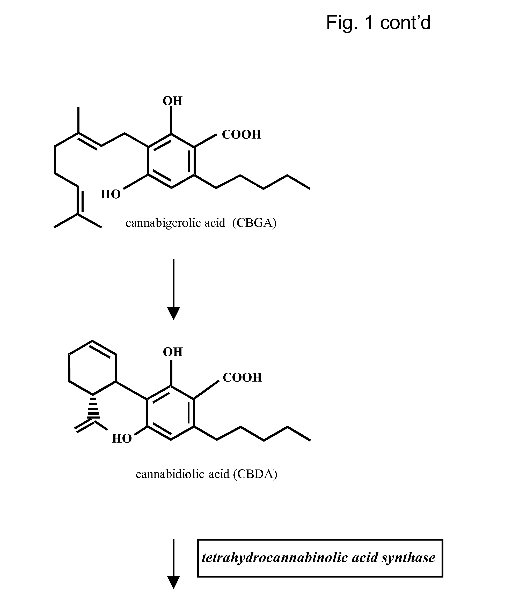 Medicinal Acidic Cannabinoids