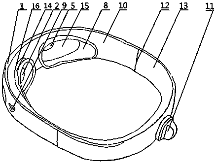 Plant crystal room temperature vaporization glasses for preventing myopia and cataract