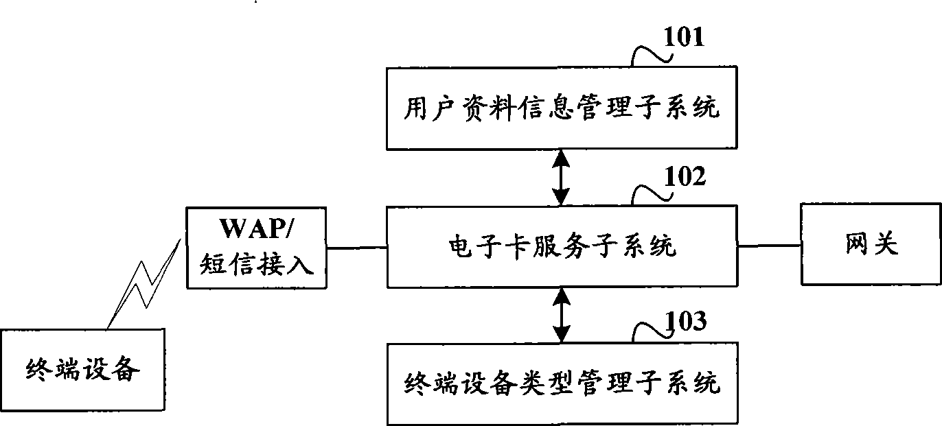 Electronic card issuing method, apparatus and system