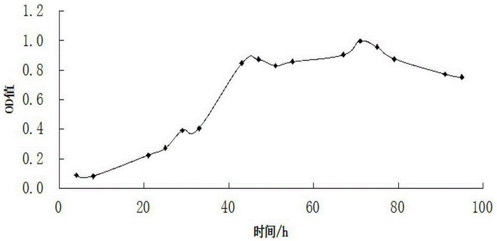 High-sugar-tolerant yeast and application thereof