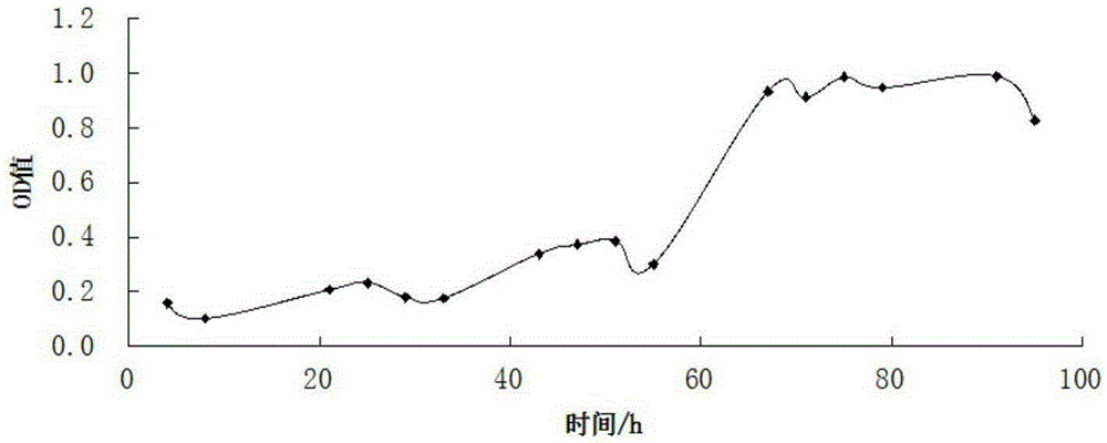 High-sugar-tolerant yeast and application thereof