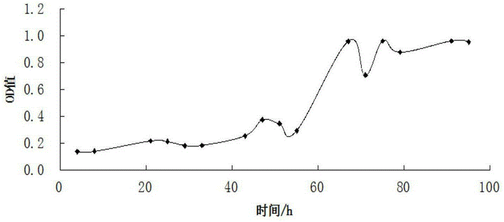 High-sugar-tolerant yeast and application thereof