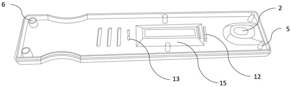 Ocular surface liquid collecting and detecting device