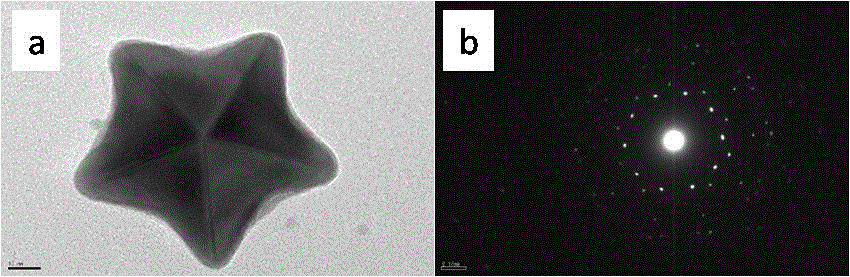 3D pentacle gold nanoparticle and preparation method thereof
