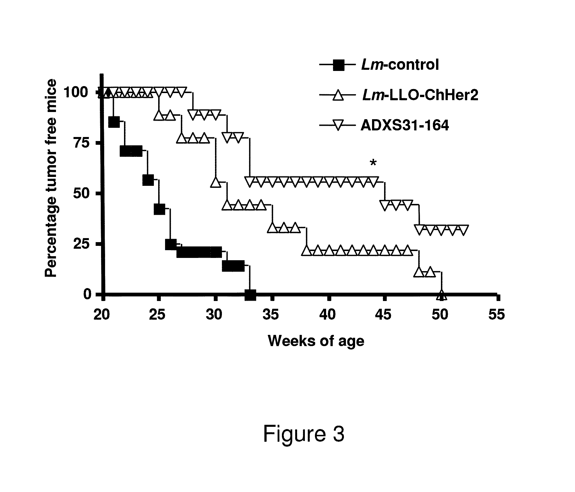 Compositions and methods for prevention of escape mutation in the treatment of Her2/neu over-expressing tumors