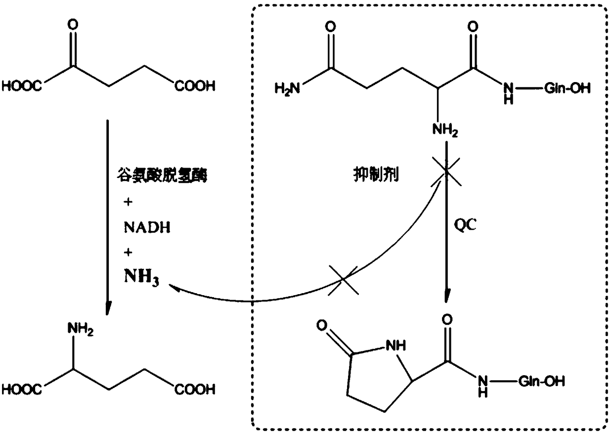 Preparation method and application of 4-imidazolyl-containing glutaminyl cyclase inhibitor
