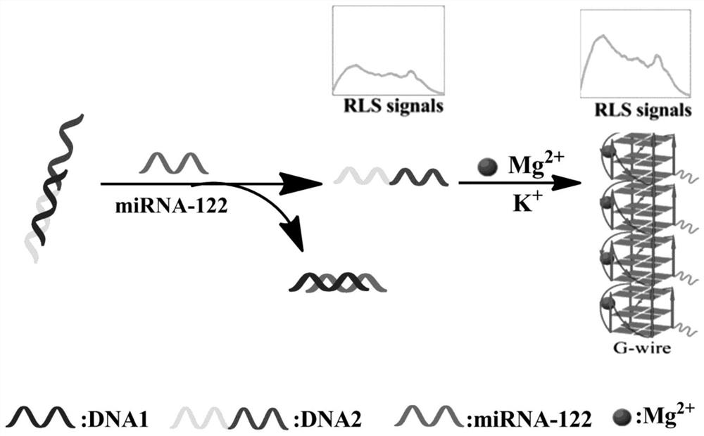 A resonant light detection kit and method for detecting miRNA-122 based on a g-wire nanostructure