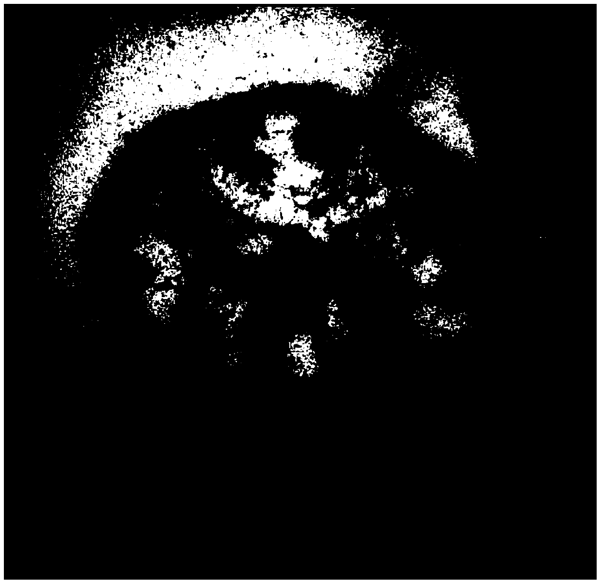 High yield microbe of 1,3-propylene glycol