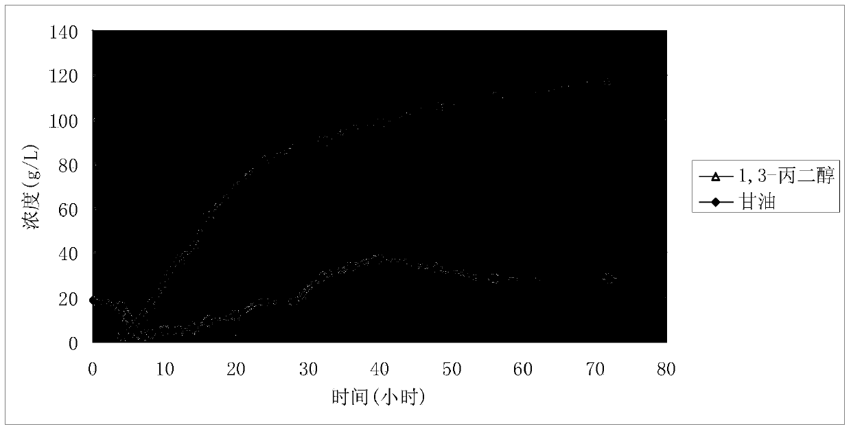 High yield microbe of 1,3-propylene glycol